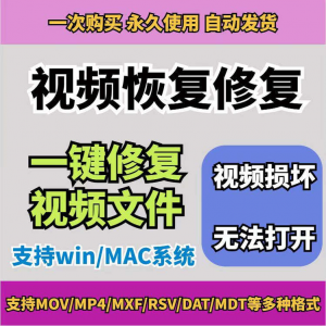 损坏MP4视频修复软件断电恢复工具短片导出摄像机视频文件修复-虚拟资料仓
