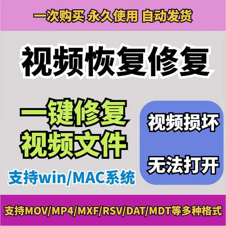 损坏MP4视频修复软件断电恢复工具短片导出摄像机视频文件修复-虚拟资料仓