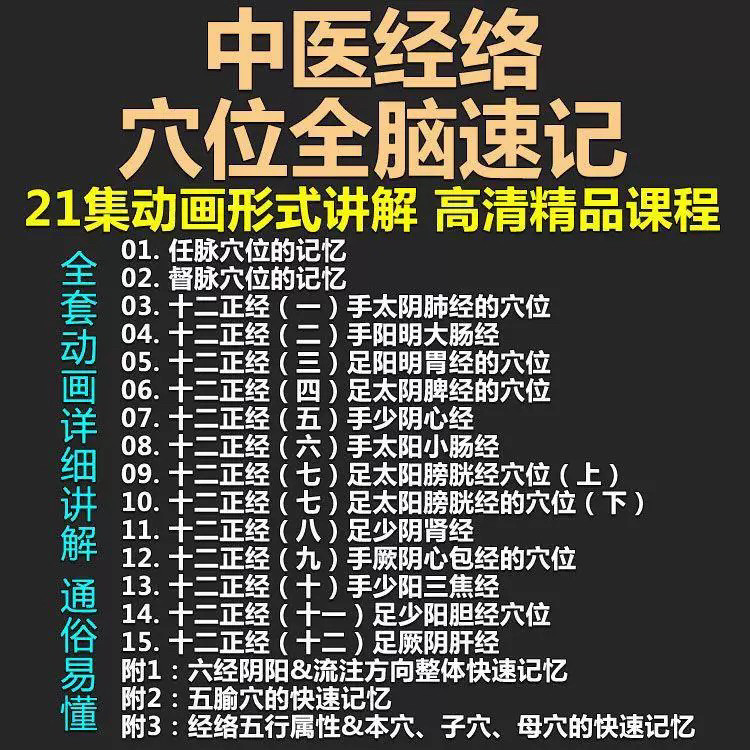 中医经络穴位全脑速记视频教学快速记忆动画形象加深记忆课程教程-虚拟资料仓
