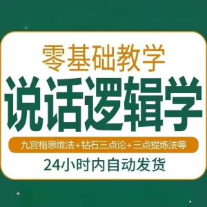 说话技巧口才训练思维逻辑学习课程如何让说话更有逻辑教程视频-虚拟资料仓