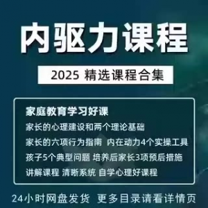 内驱力培训课程培养孩子自觉性提升内在亲子教育学习电子版资料-虚拟资料仓
