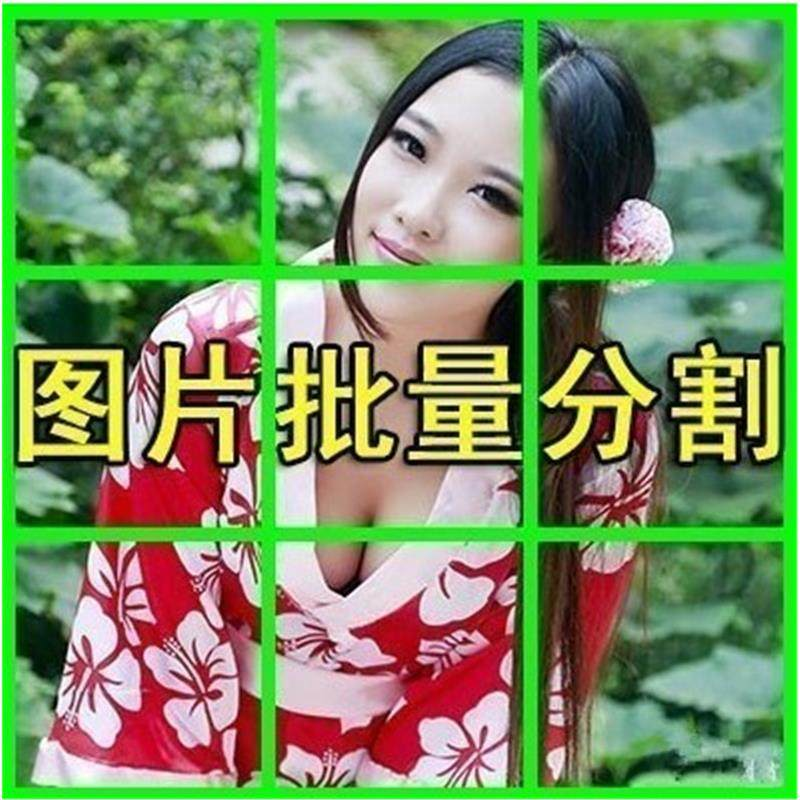 图片批量切割软件 图片批量分割工具 批量切图器 图片批量裁剪-虚拟资料仓
