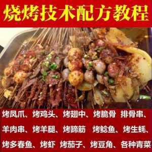 正宗全国烧烤技术配方全套视频教程配料技巧制作培训教学资料大全-虚拟资料仓