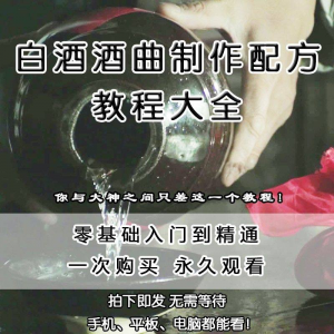 白酒酒曲制作配方教程酿酒技术秘方勾兑视频教学课程零基础学习-虚拟资料仓