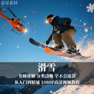 单板双板滑雪教程视频教学成人全套入门自学零基础学习视频教程-虚拟资料仓