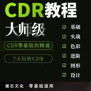 cdr教程视频Coreldraw自学平面设计广告排版零基础入门学习课程-虚拟资料仓