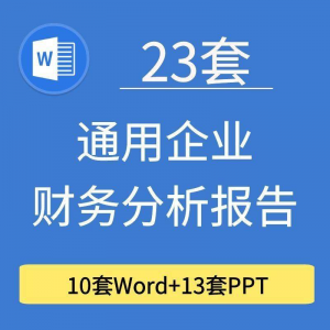 23套通用企业公司年度财务分析报告word电子文档模板PPT演示-虚拟资料仓