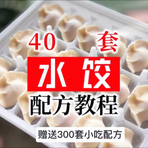 【0.01秒发】40套水饺技术配方 特制技术视频教程-虚拟资料仓