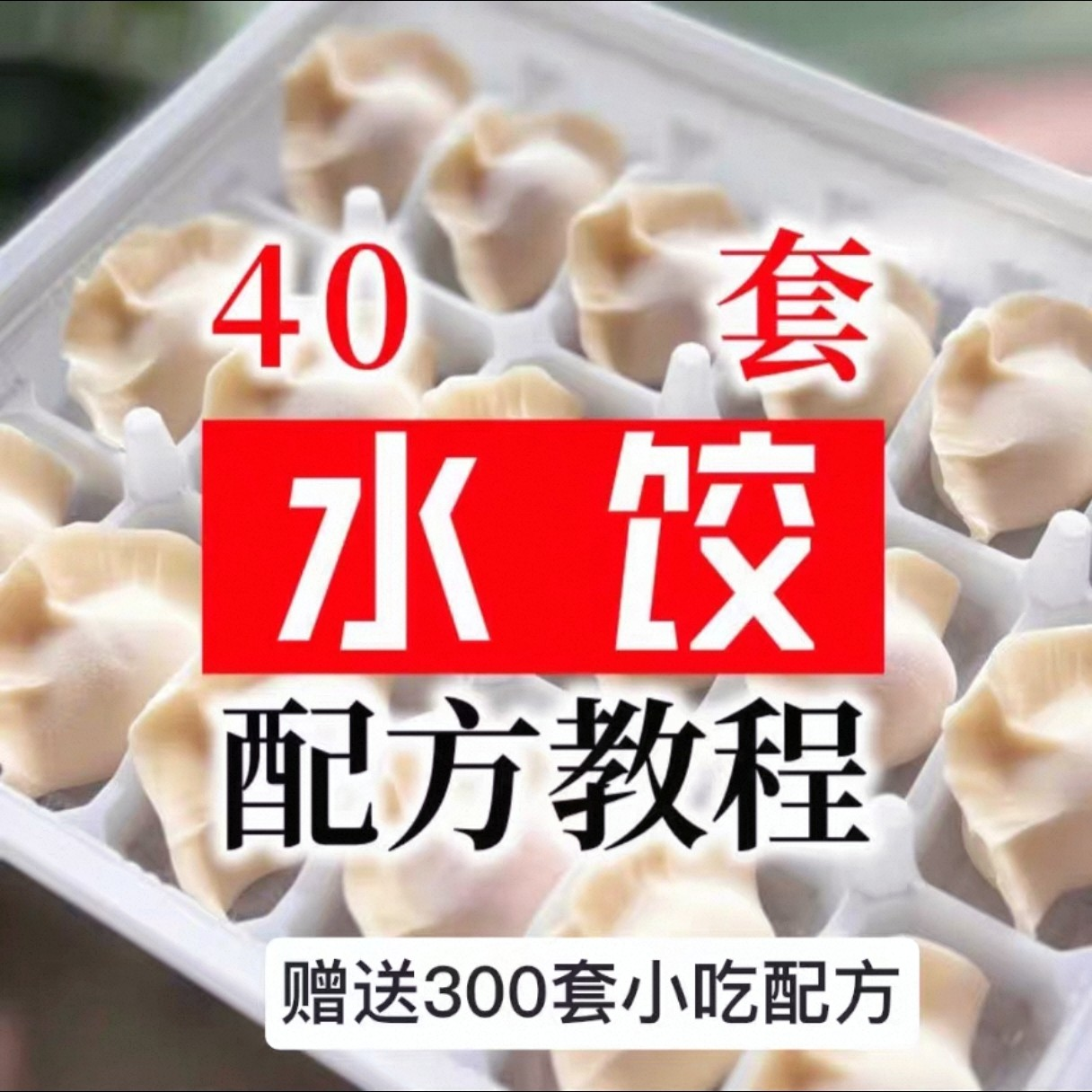 【0.01秒发】40套水饺技术配方 特制技术视频教程-虚拟资料仓