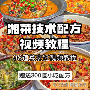 【0.01秒发】98道湘菜技术配方视频教程商用湖南菜炒菜特色小吃-虚拟资料仓