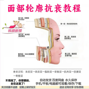 美商课程面部轮廓抗衰美肤减龄变美视频教程形象管理内在美好气色-虚拟资料仓