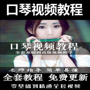 口琴自学教程视频零基础初学者入门到专业十孔24孔教学-虚拟资料仓