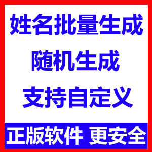 图片[1]-姓名批量生成工具 用户名随机不重复生成软件 可自定义-虚拟资料仓