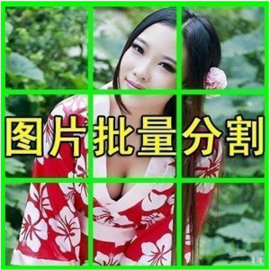 图片[1]-图片批量切割软件 图片批量分割工具 批量切图器 图片批量裁剪-虚拟资料仓