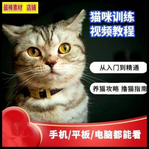 猫咪训练+养猫攻略大全技巧秘诀自学教程课程视频-虚拟资料仓