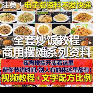 花式炒饭视频教程 泡菜蛋炒饭海鲜盖饭制作 特色小吃配方技术课程-虚拟资料仓