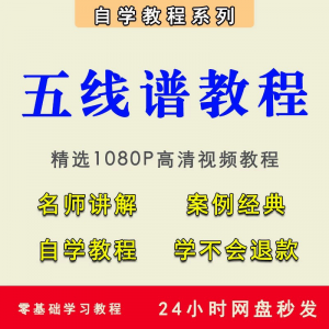 五线谱视频教程教学培训课程在线自学儿童零基础从入门到精通教程-虚拟资料仓