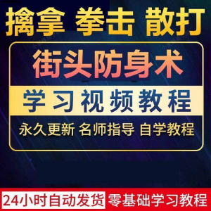 街头防身术擒拿拳击散打视频教程全套入门自学零基础学习教程视频-虚拟资料仓