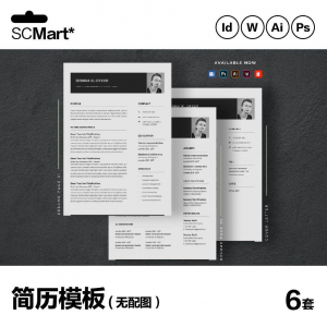 6套高级英文简历Word简历 ai psd设计师简历模板毕业生简历CV29-虚拟资料仓
