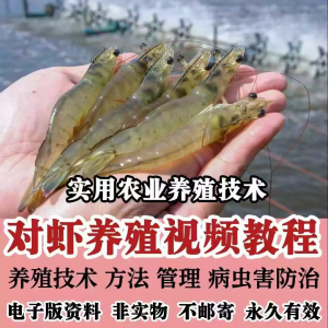 图片[1]-对虾养殖技术视频教学教程水质管理日常养护疾病防治南美白素材-虚拟资料仓