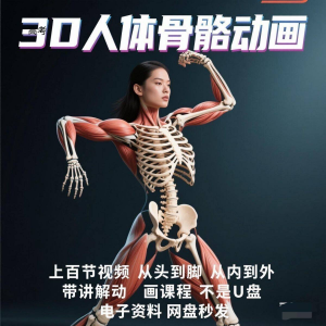 中医人体骨骼肌肉学习3D动态讲解演示视频自学零基础中医人体高考-虚拟资料仓