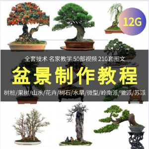 盆景制作技术视频教程工艺教学果树桩山水微型造型全套-虚拟资料仓