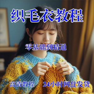 手工织毛衣视频零基础传统棒针钩针毛线编织婴儿童全套-虚拟资料仓