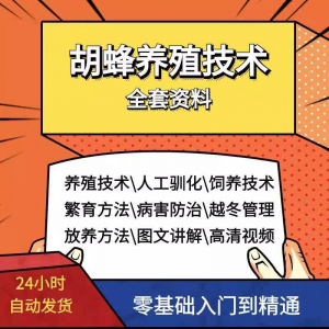 胡蜂养殖技术蜜蜂视频资料黄蜂黑盾怎样养胡蜂人工饲养教程大全-虚拟资料仓