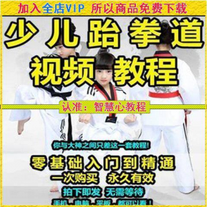 跆拳道自学教学视频跆拳道训练视频跆拳道运动教程少儿培训素材-虚拟资料仓