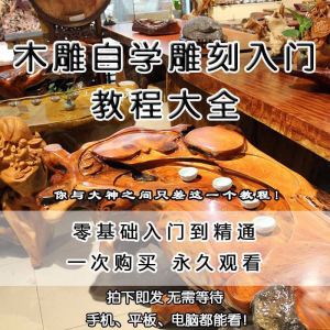 木雕自学雕刻入门教程木匠制作diy手工技术玉石学习视频教学课程-虚拟资料仓